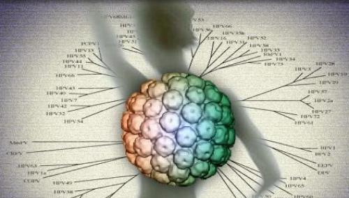 人乳头瘤病毒中西医的治疗方法
