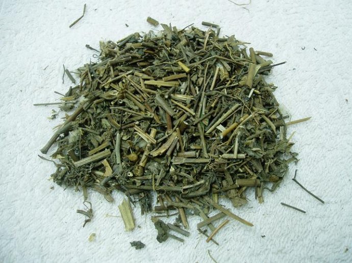 中医 中药大全 利水渗湿药  泽漆是一种中药,也是一种我们平时的时候