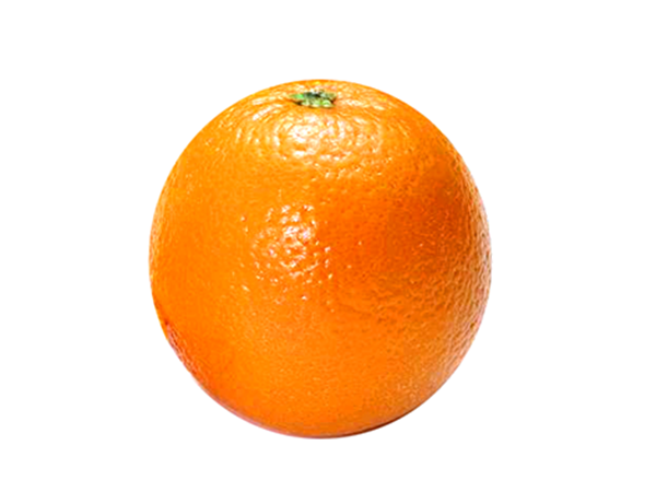 һָ̹,ӵƷ.Դڶ.Сľ.