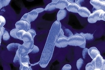 世界人口三分之一都感染了结核菌 该不该检查呢？