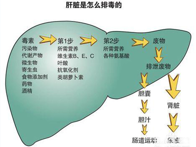 身体排毒方法