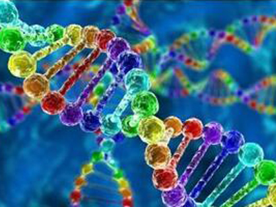 研究：一种基因将癌细胞变回正常