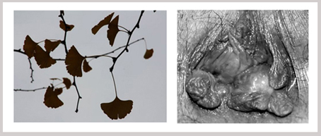 4097149223.jpg cd1491d3b53ea08609ec8fd4cb253302副本.jpg