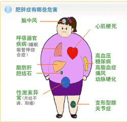 "会呼吸的痛"--------肥胖症