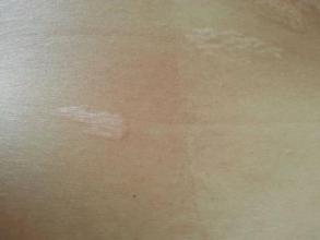 jpg u=160792106,2985346442&fm=21&gp=0.jpg