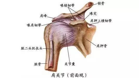 如何搞定疼痛难缠的“五十肩”？