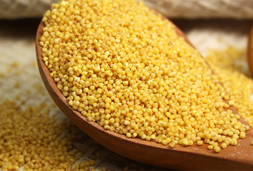 黄小米,黄小米的功效与作用,黄小米副作用,黄小