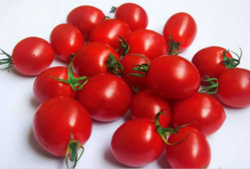 小西红柿,小西红柿的功效与作用,小西红柿副作