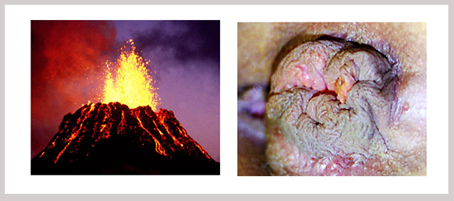 6239749220.jpg 134203dttr6rhxv86rmmqo副本.jpg