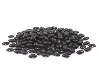 黑豆减肥的吃法