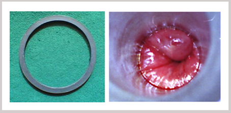 4035849188.jpg 025175cd456a7fc7bf8c222bd85b8c42副本.jpg