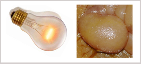 2320549221.jpg IMG_20160123_174018副本.jpg