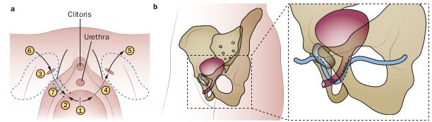 fig3.jpg