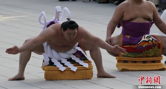 日本举行传统相扑表演迎新年