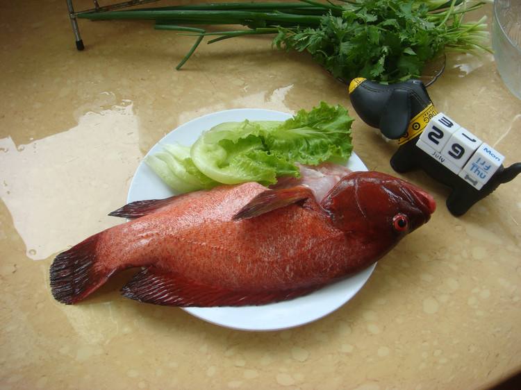 红瓜子鱼应吃什么食物