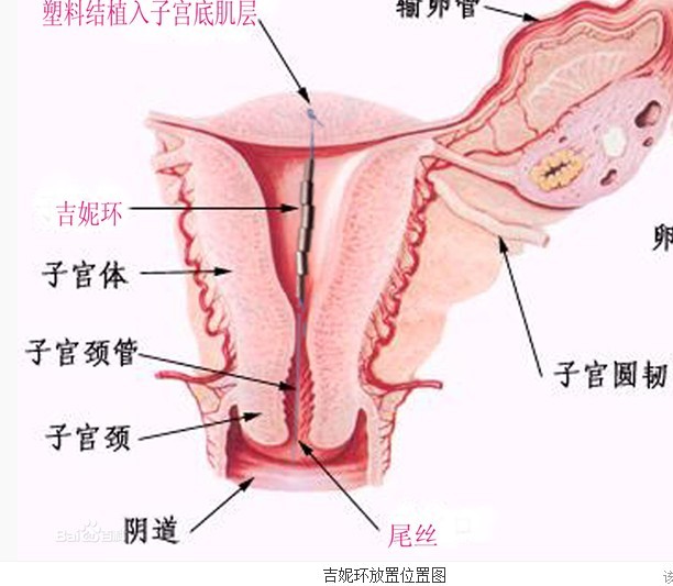 按住CTRL键使用鼠标滚轮缩放图片