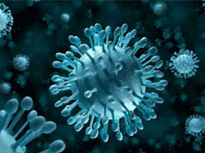 北京16个区未发现H7N9感染病例