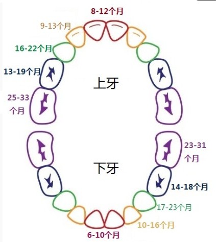 ֪