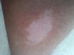 jpg u=3252775505,406414143&fm=21&gp=0.jpg