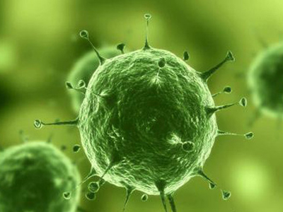 首名台商感染H7N9病逝 H7N9主要以哪些途径传播