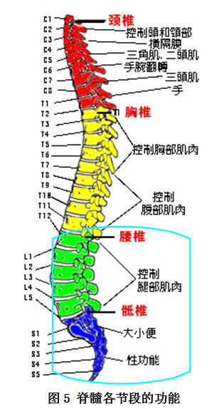 发现脊髓栓系,应该怎么办?