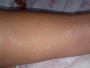 jpg u=2919969228,4142974984&fm=21&gp=0.jpg