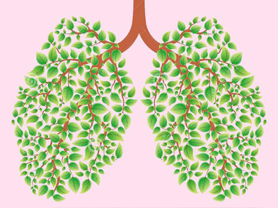 抓紧护肺！6个方法预防肺癌
