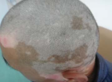 o077.jpg