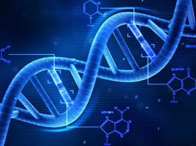 科学家发现DNA第二种编码