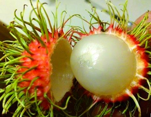 jpg 79f0f736afc3793190c8ec6debc4b74542a911d5.jpg