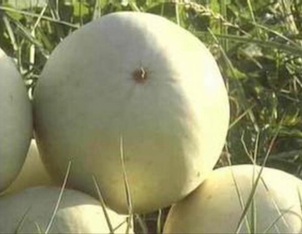 jpg 20160116165242876_827.jpg