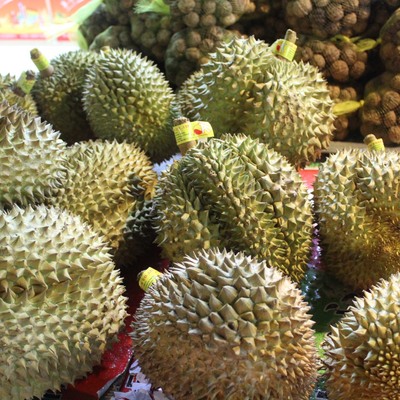 jpg t01d0ddb7872e1e965b.jpg