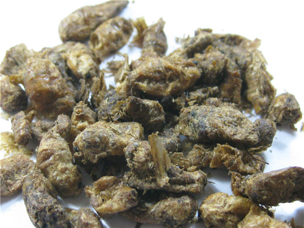 雄蚕蛾的功效与作用