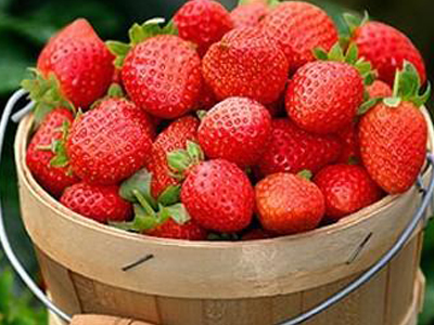 吃草莓感染诺如病毒 清洗草莓注意事项