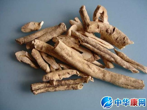 药材 中药 501_375