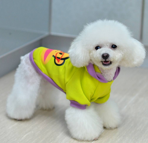 png QQ图片20170308132600.png