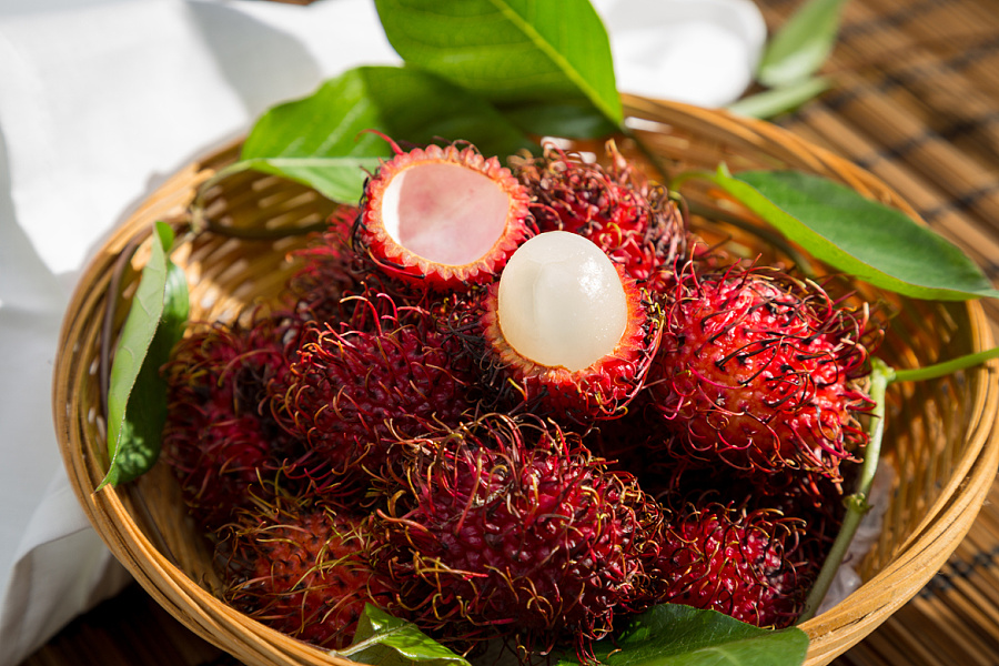 jpg 0158a85680a84c6ac7251bb632204f.jpg@900w_1l_2o_100sh.jpg