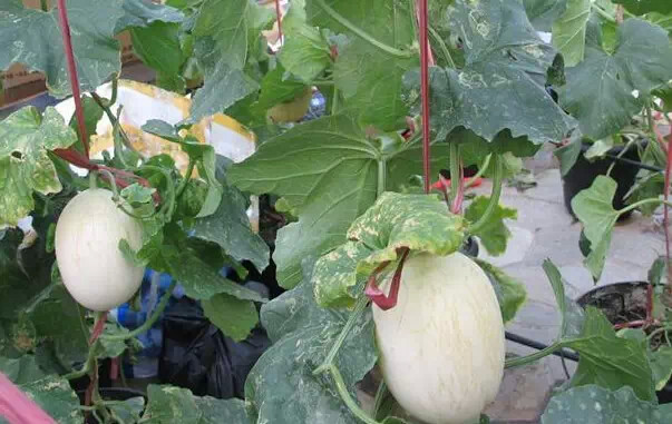 png 2015-05-21_1432179925428.png