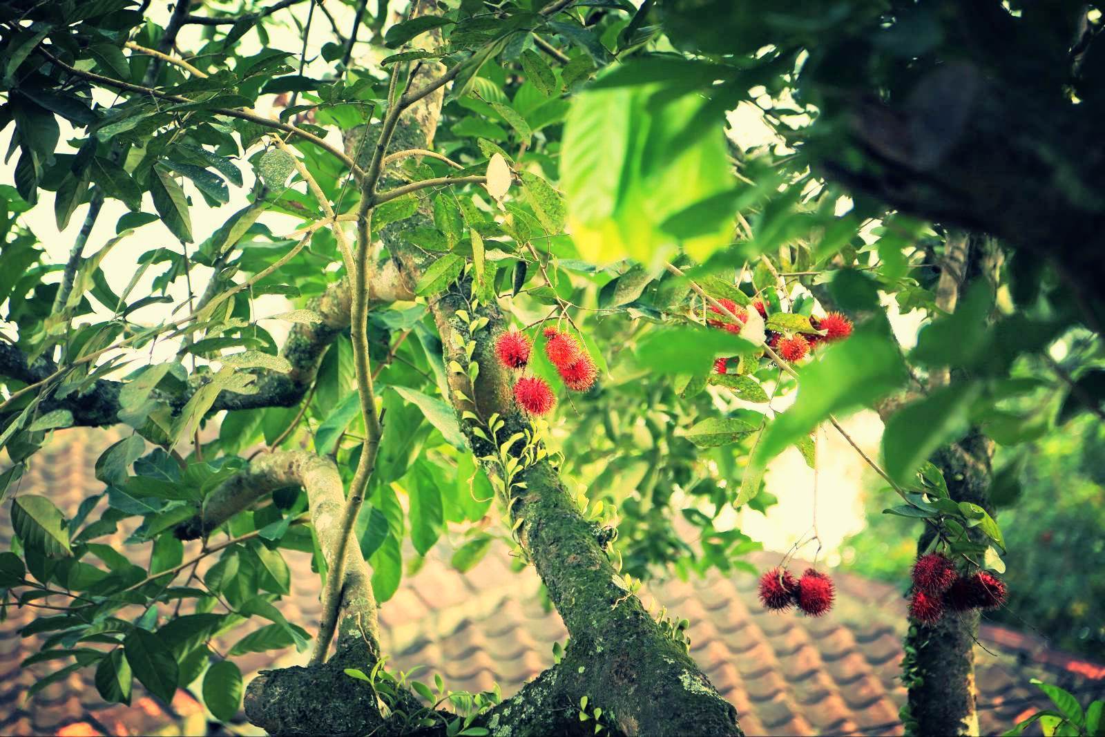 jpg 1397052296016p18l3coq121i0di7l15lep5r186i.jpg