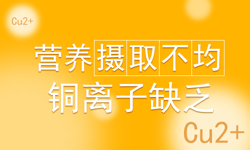 png 图片5.png