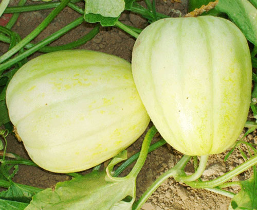 jpg 2012051317304611883.jpg