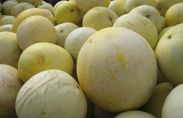 jpg u=2107934450,2189473265&fm=214&gp=0.jpg