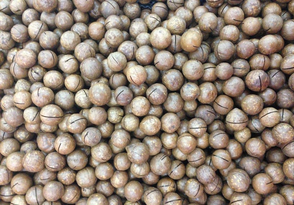 夏威夷果 (12).jpg