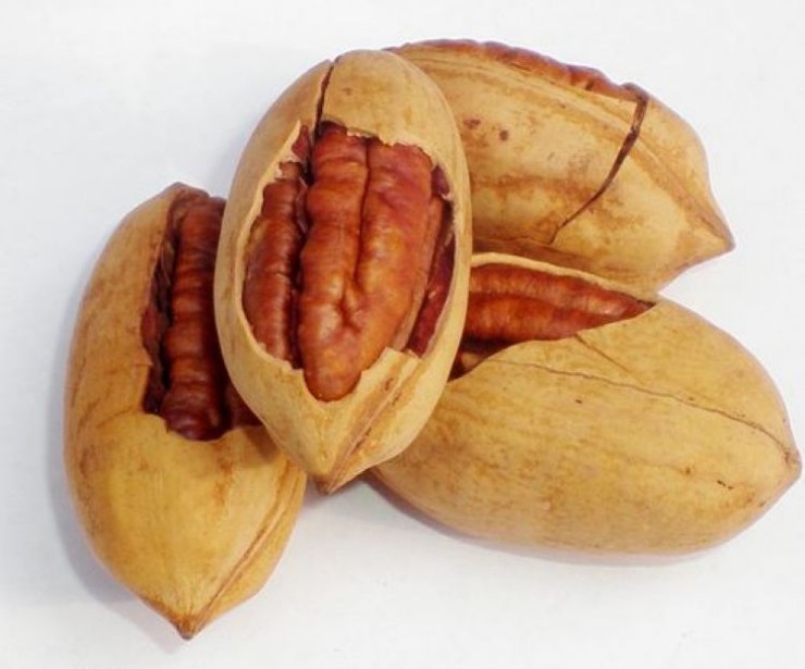 jpg 3-1F113133205O7.jpg