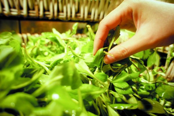 jpg Img371467012.jpg