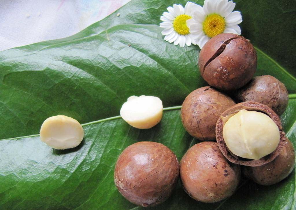 夏威夷果 (11).jpg