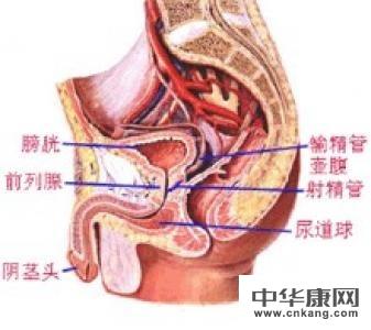 睾丸炎对身体危害大吗