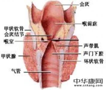 新生儿喉头疣有什么危害,如何治疗_中华康网