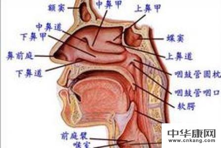 这种方法可以起到祛风通窍的作用,可以用来缓解鼻窦炎的症状