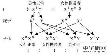 色盲怎么样才能不遗传